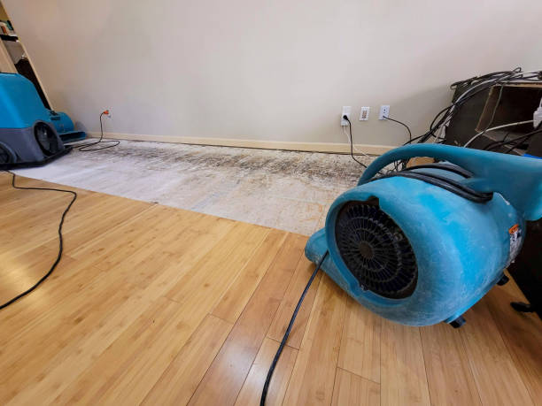 Professional Structural Drying technician working in Centennial, CO